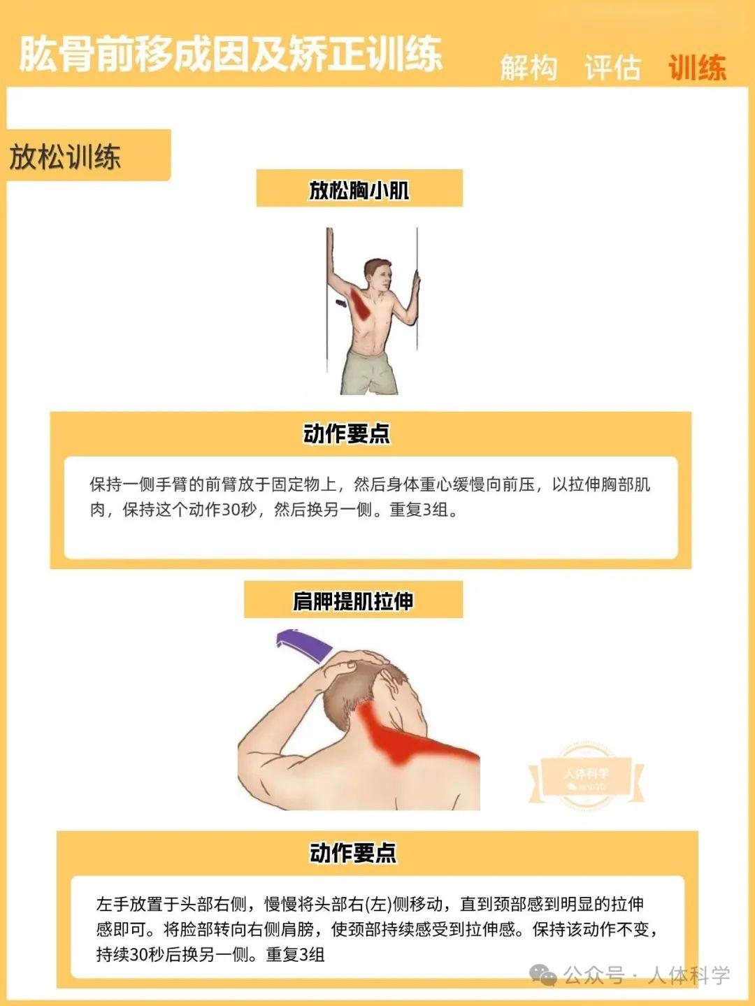 【新体态】肱骨前移的成因及运动矫正训练 - 知乎
