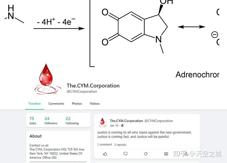 有"肾上腺素红"这个医学概念吗?