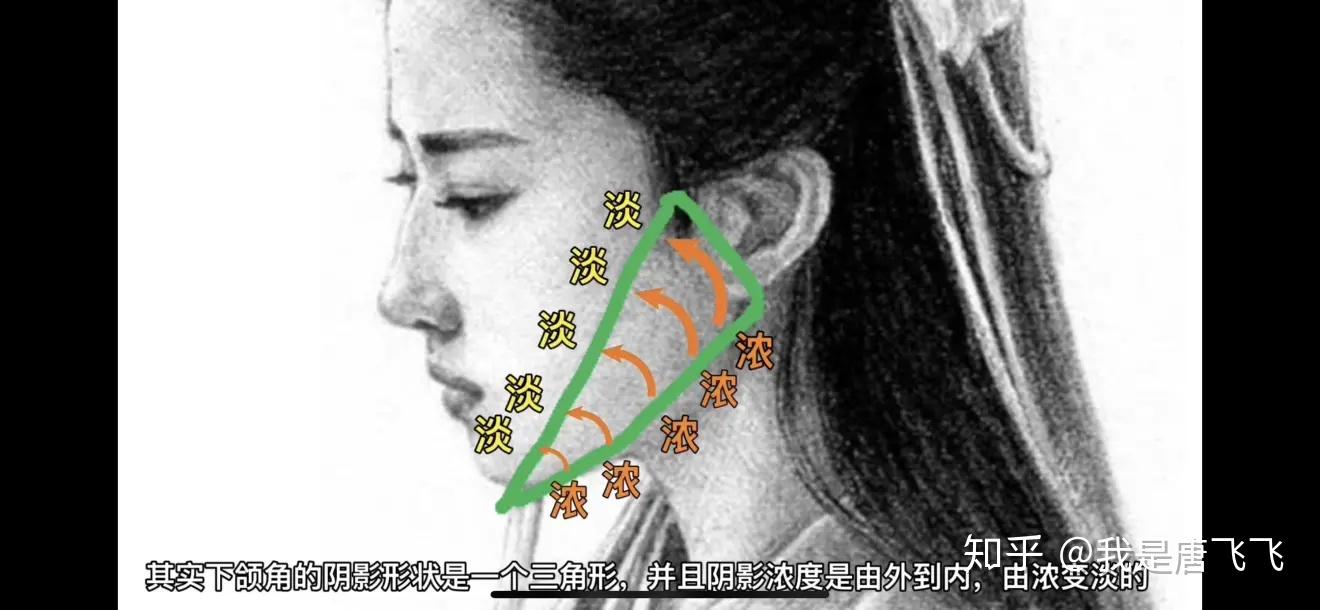 v2-728dd8cd778d5e43eeec4fd96757b870_r.jpg