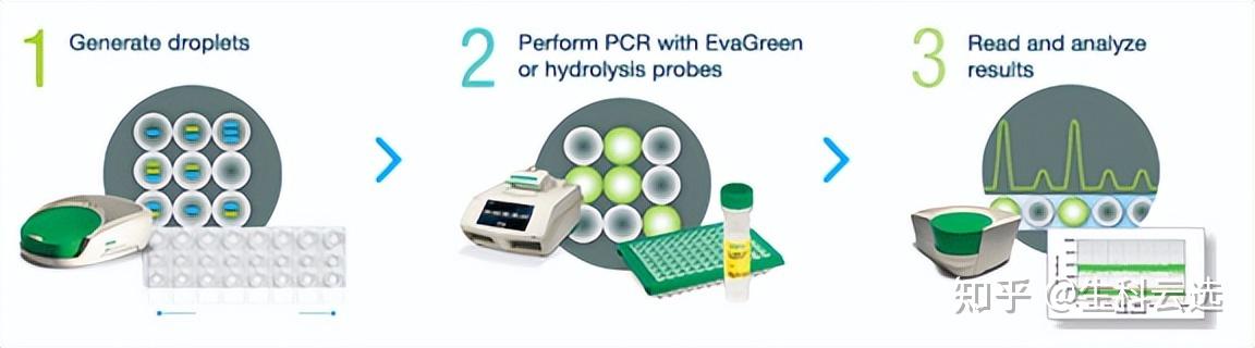 干货分享 | PCR技术全解析 - 知乎