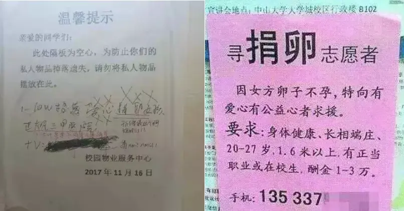 2025年最新正规捐卵后能拿到钱吗知乎推荐(今日分享取卵后多久可以移植)