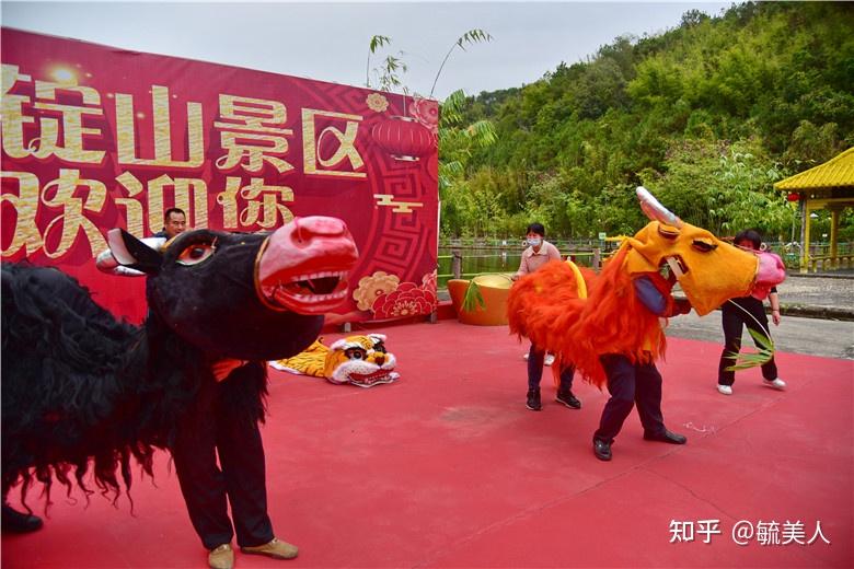 锣鼓声响起,春牛出场,春牛歌响起,舞牛人依次表演驶牛,犁田,耙地,水牛