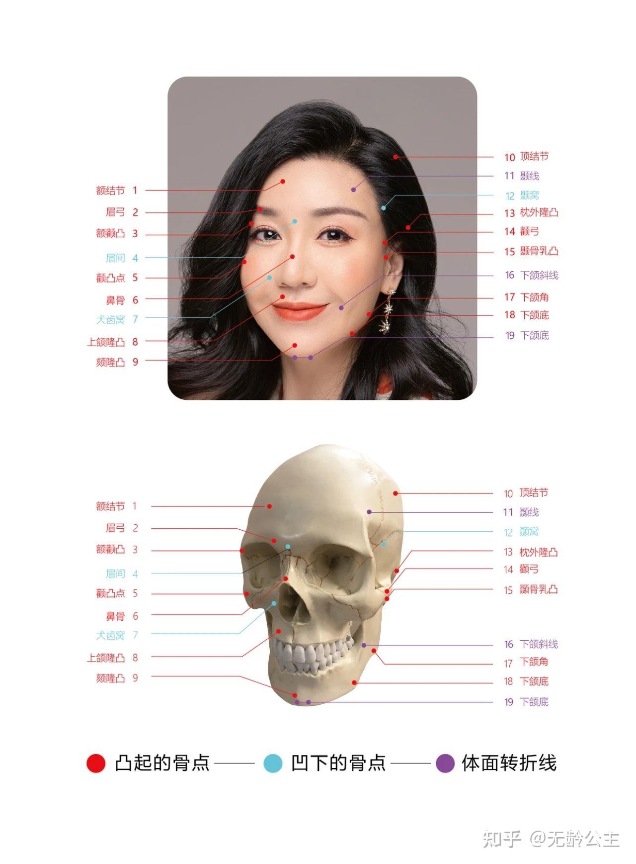 面部审美除了关注水平的三停比例,和垂直方向的面部结构布局,还要关注