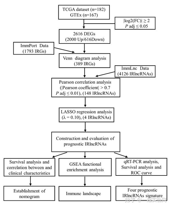 8+:胰腺癌预后免疫相关lncRNA的鉴定 - 知乎
