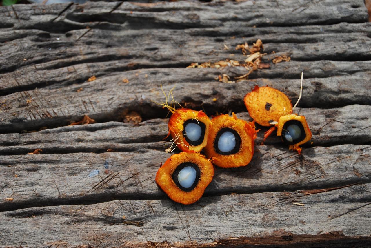 3. 数据恢复技巧