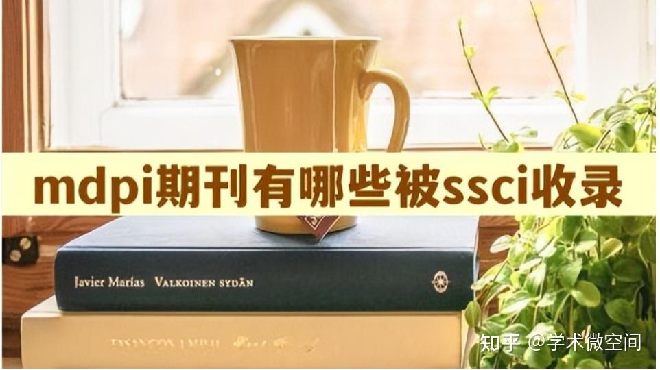 8 mdpi ssci 