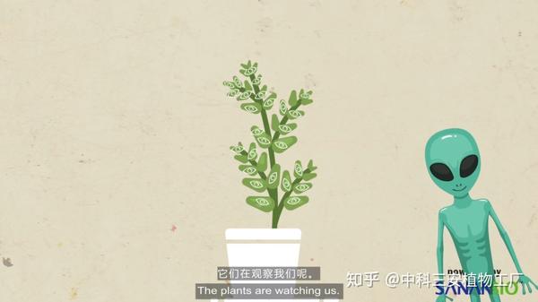 Ppf Ppfd 光效 光谱 这些植物照明光学术语你都知道吗 知乎