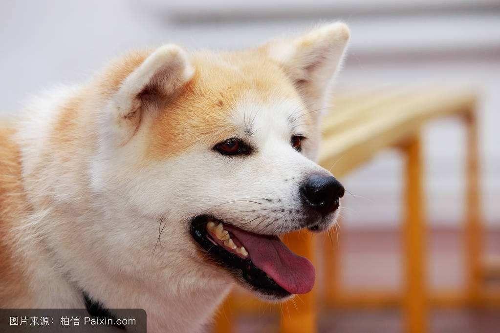 MBTI类型会影响人的长相和气质面貌吗?