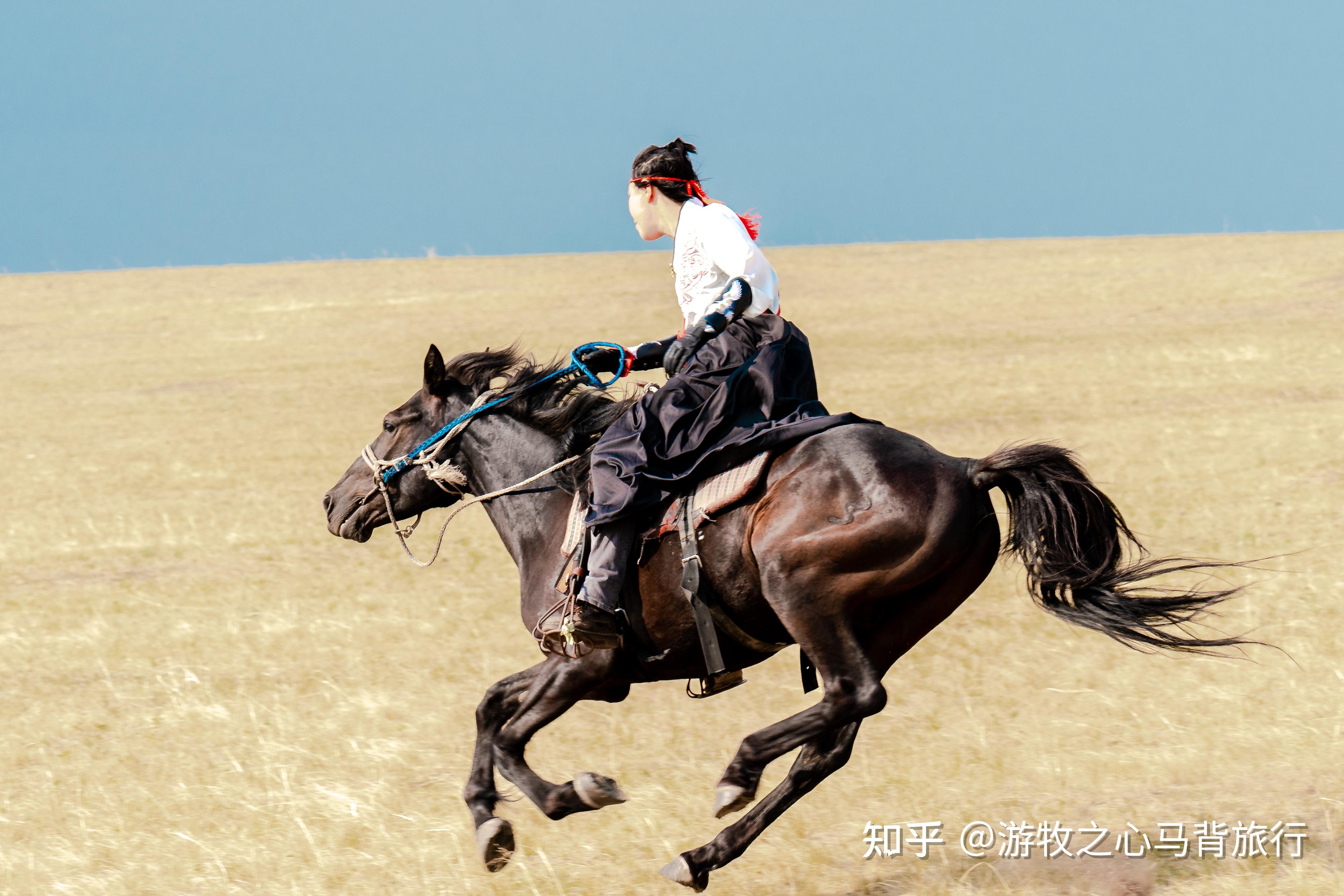 20岁的女生选择马术还是高尔夫?
