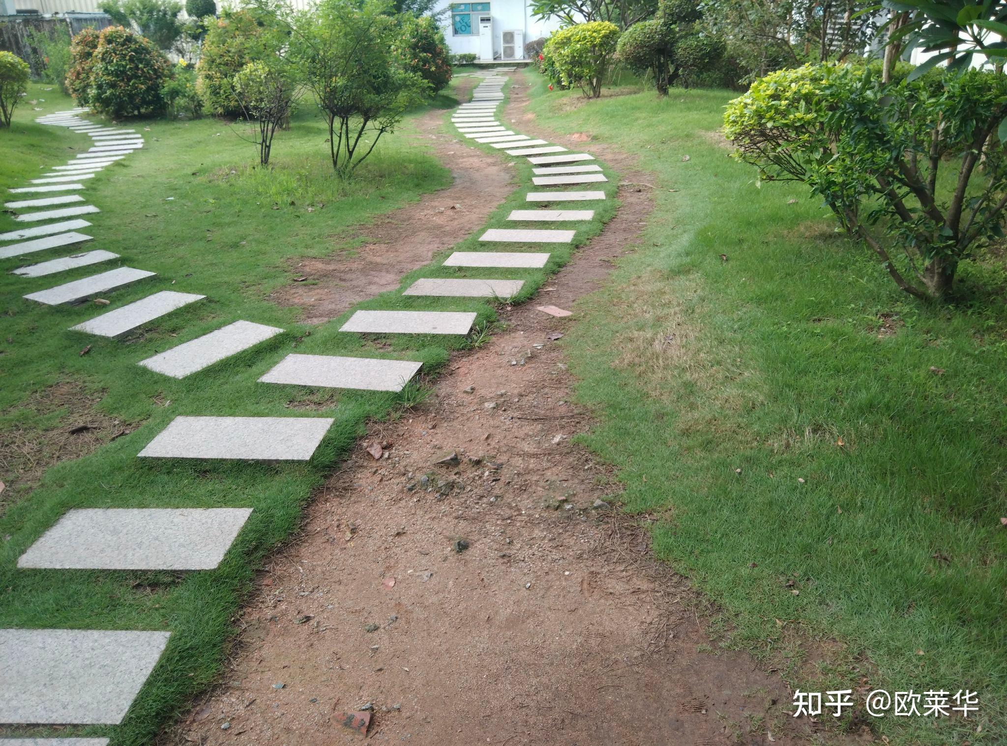 深圳康桥书院怎么样?