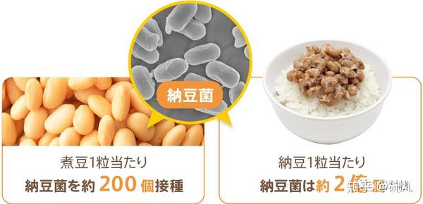 纳豆 暗黑料理世界欢迎您 知乎