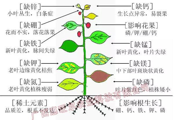 v2-730b8b3be58852a753c1b11dbf39a23e_1440w.jpg?source=172ae18b