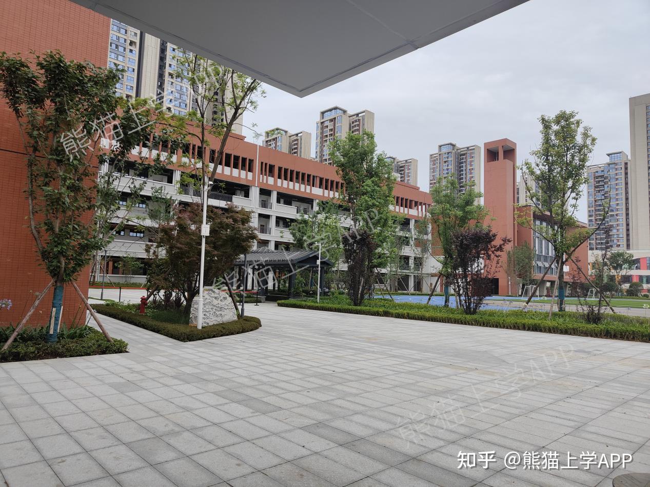 成华小学蜀都分校探校:9月开始招生!成华区教育资源重拳出击!