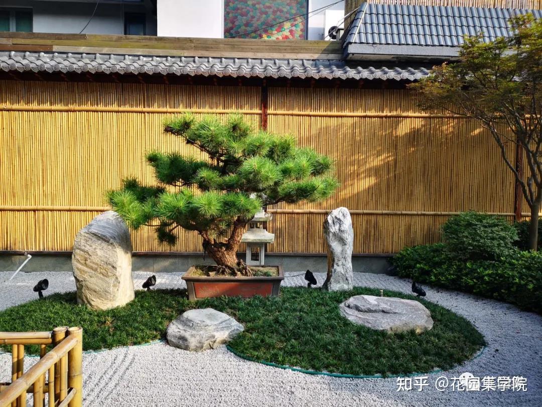 干货 打造日式庭院,只此一篇,足够 - 知乎