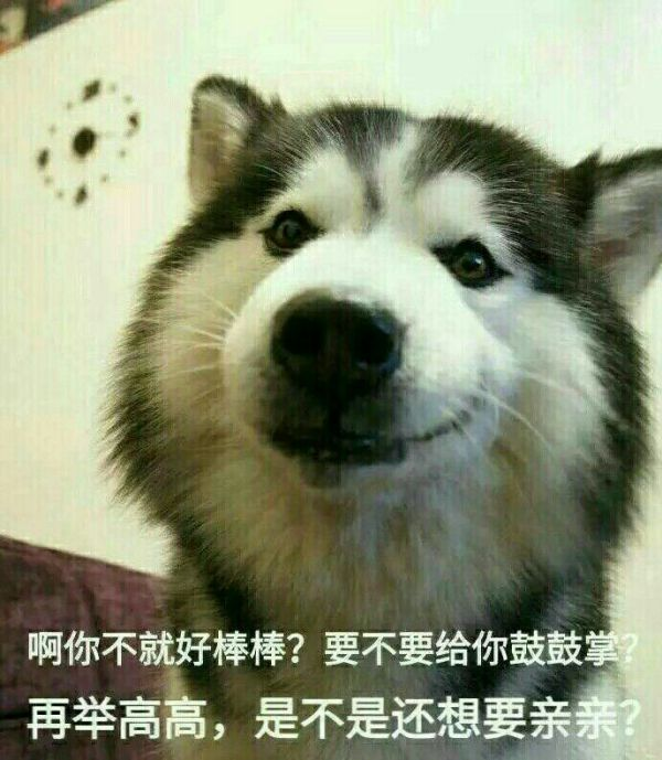 一个23岁的年轻人,手上有2万有什么好的理财建