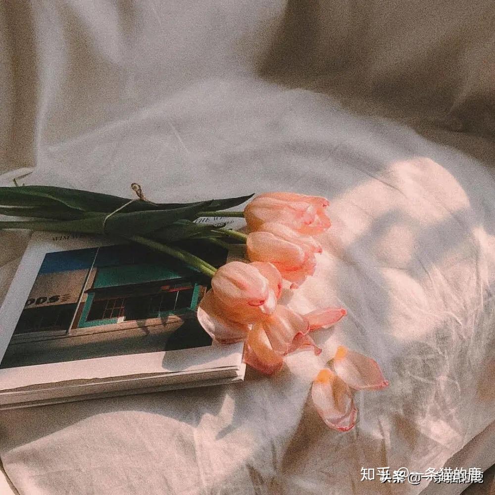 朋友圈封面背景 | 一定要开心呀 - 知乎