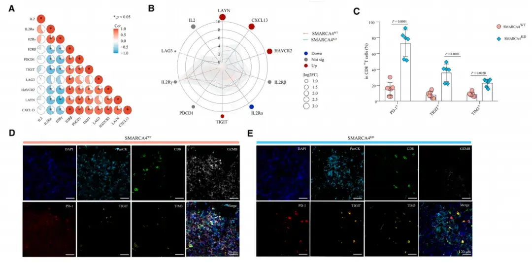 Cell Rep Med | VITA助力肿瘤免疫治疗新药开发及耐药机制解析 - 知乎