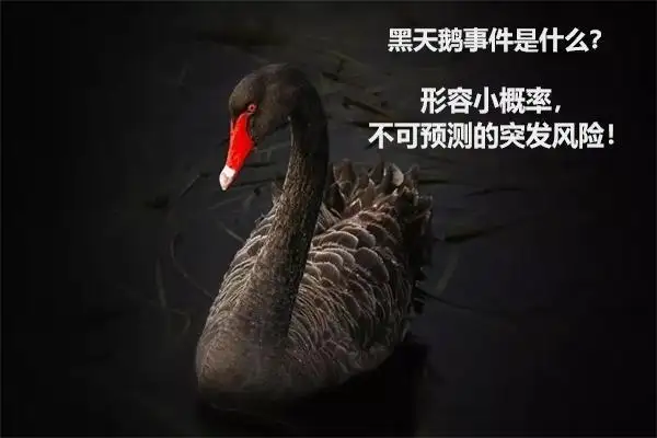 "黑天鹅"与"灰犀牛"