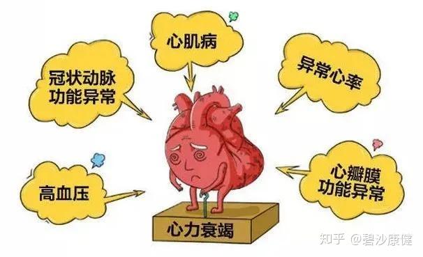 血液系统疾病(如淀粉样变),使用过对心脏有毒性作用的药物(比如阿霉素