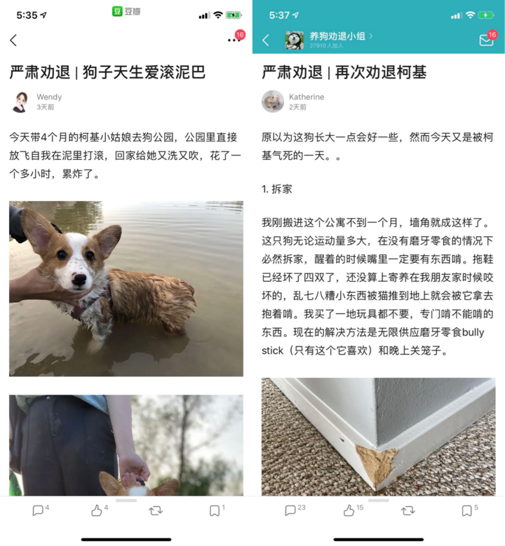 互联网最鲜活的人都在豆瓣小组