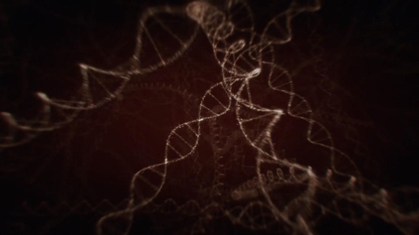 基因编码：为何“四进制”比“二进制”更好？