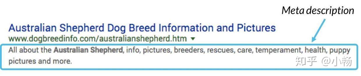 什么是元描述(Meta Description)? - 知乎