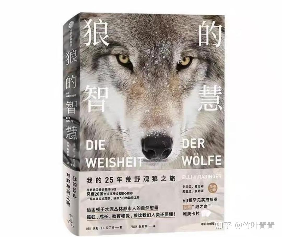 读《狼的智慧》才懂:内蒙古灭狼后羊群死一半,你所谓的善良正在毁了谁? - 知乎