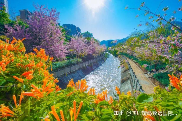 【攀枝花旅游攻略】四川攀枝花保姆级游玩攻略!景点、住宿 - 知乎