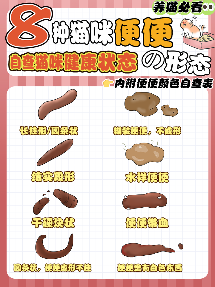 8种猫咪便便形态|自查猫咪健康状态 - 知乎