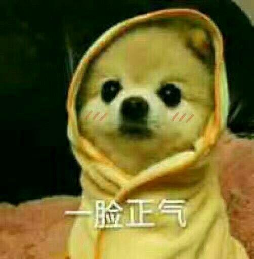 软件工程本科女生应该工作or考研?