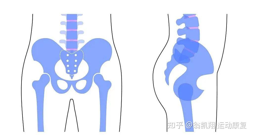 动不动就折的尾巴骨到底该如何保护呢?