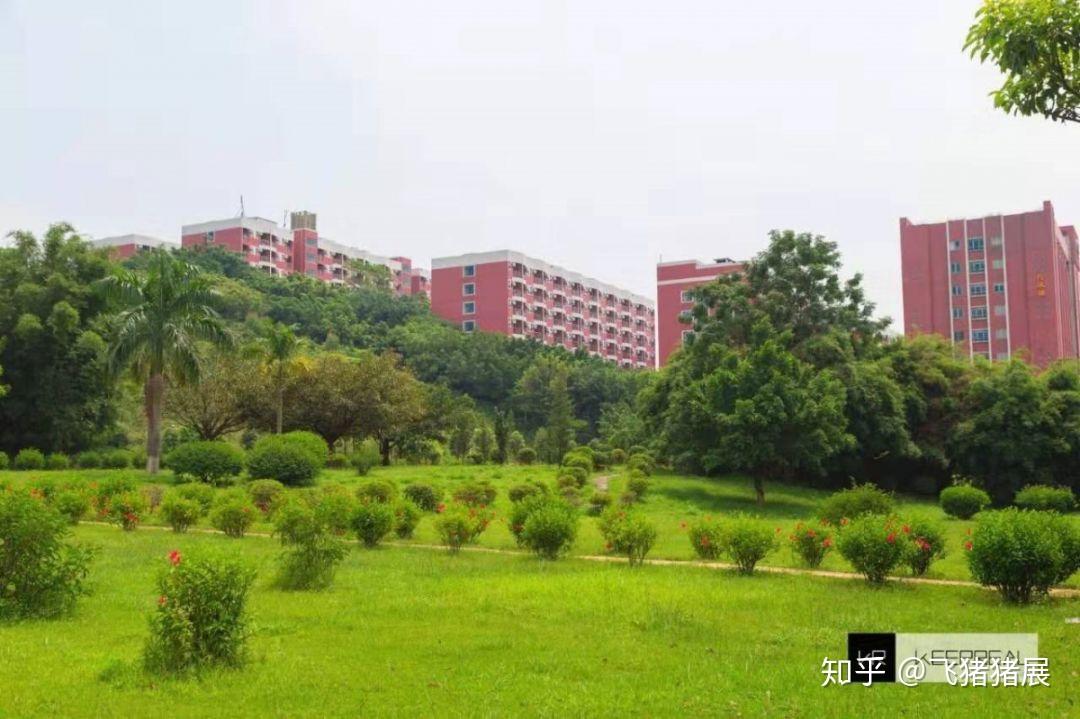 廣東大學巡禮廣州華商職業學院