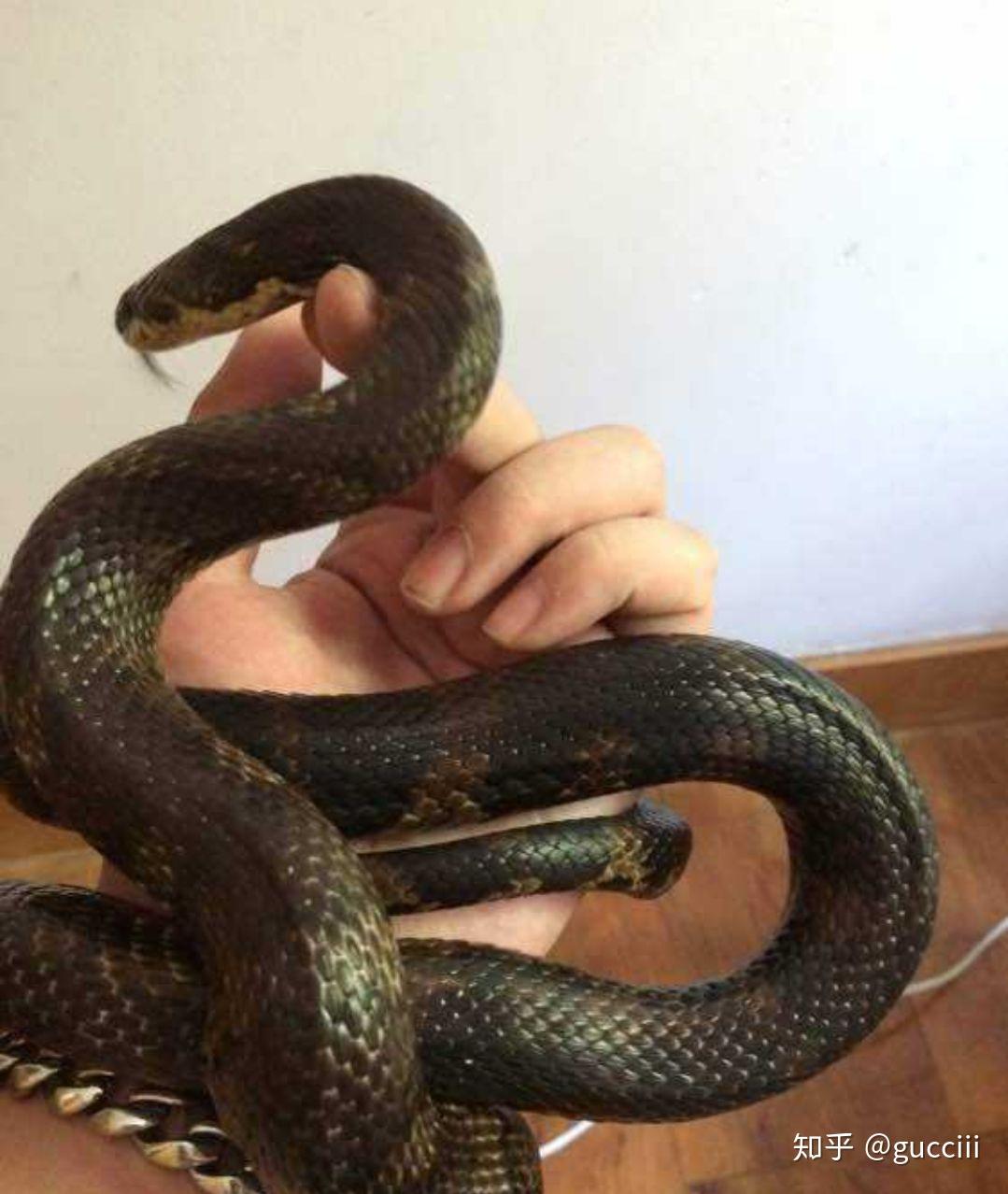 有没有毒,江苏无锡?