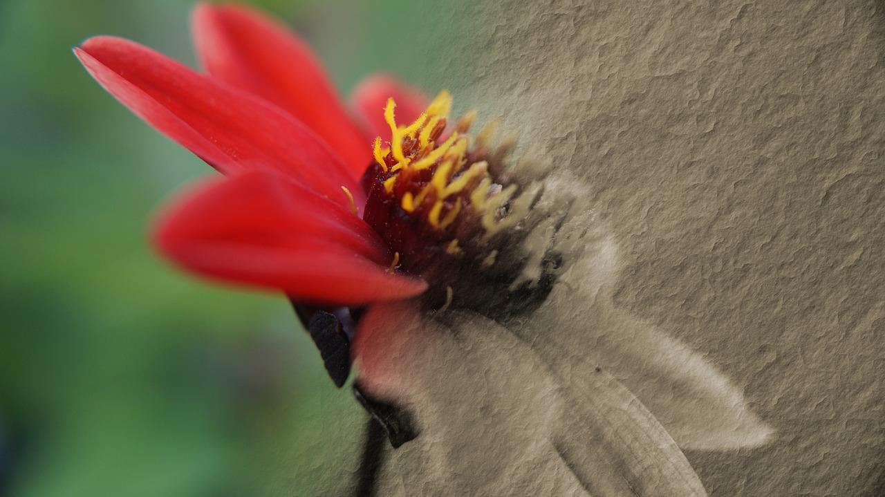 2. 儿童黑板选购