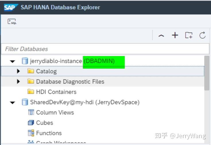 在 SAP Business Application Studio 里访问 SAP HANA Cloud 实例 知乎