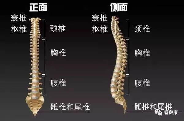 腰椎使用说明书 护腰注意六要六不要 知乎