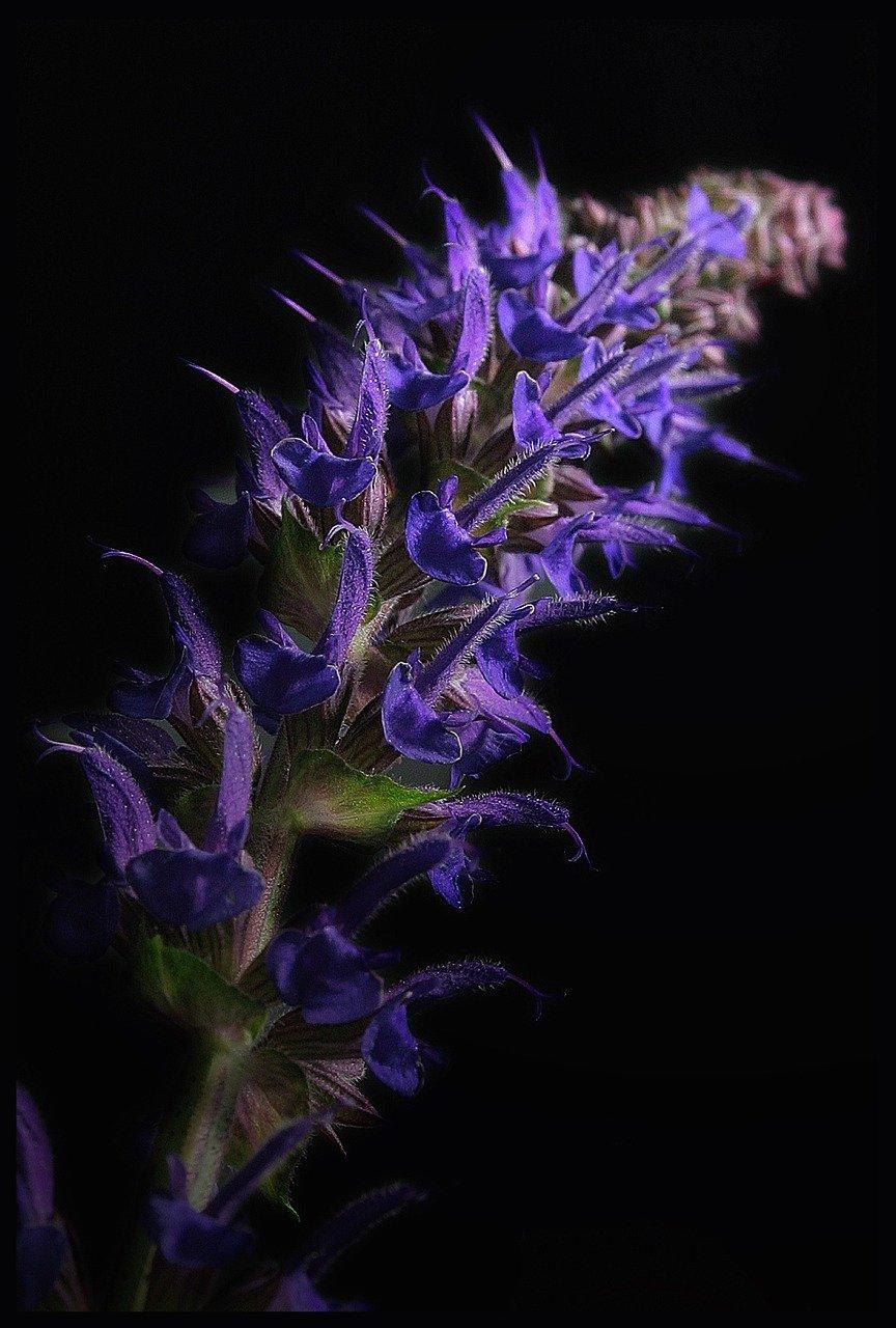 4. 栽植深度把握