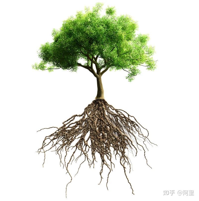 为什么要用树状结构来打造知识体系? - 知乎