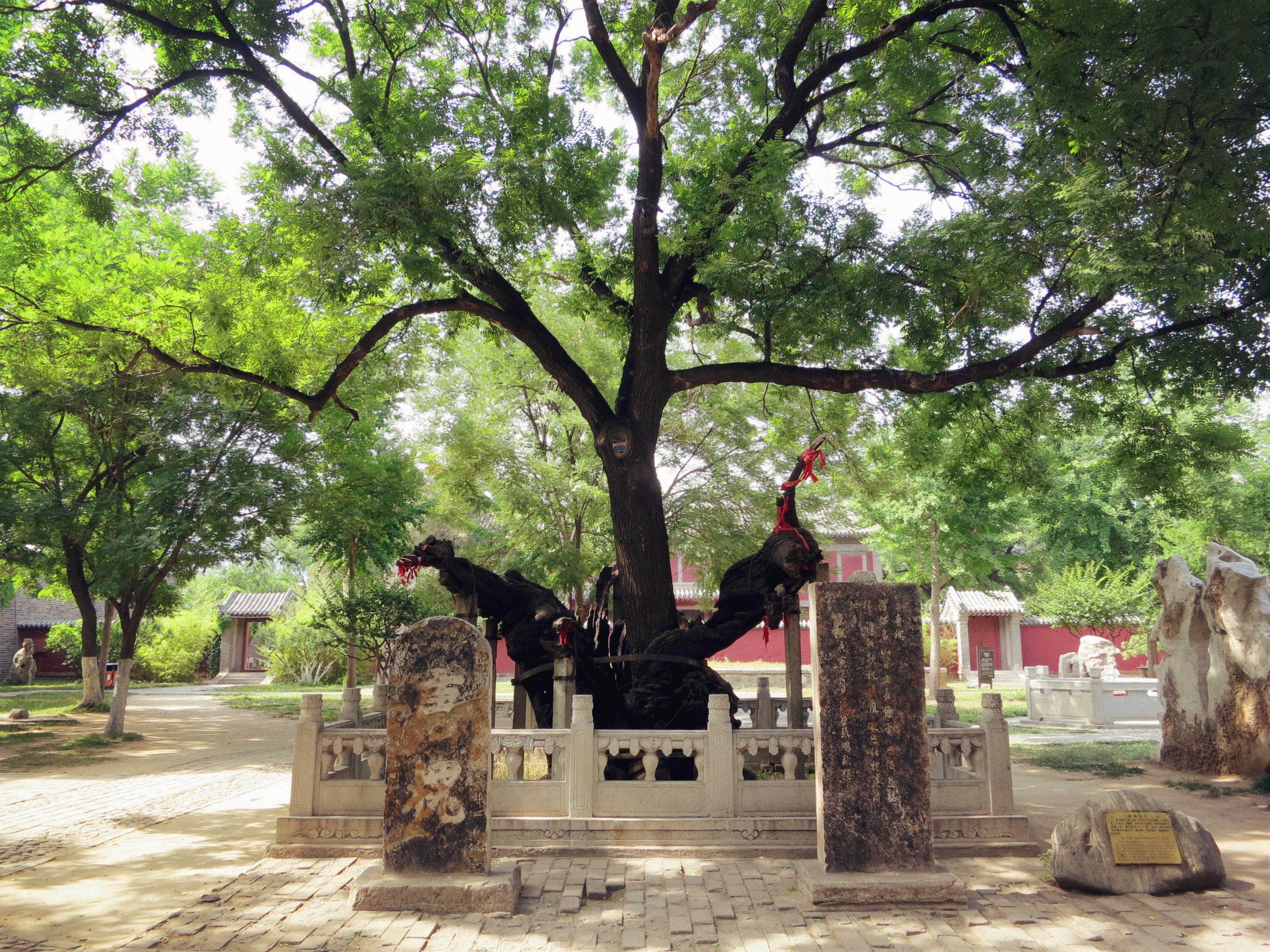 岱庙亦称泰庙,是祭祀泰山神东岳大帝的地方,俗称东岳庙,也是历史上