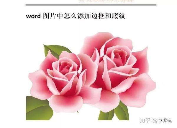 Word图片中怎么添加边框和底纹 文档边框图案怎么设计 帅年网