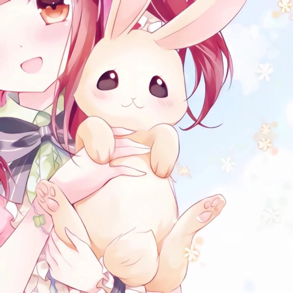 有没有抱着兔子的情侣头像? - 知乎