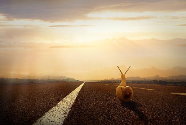 v2-7398457e9061755a00b5a788a1e846a4_r.jpg