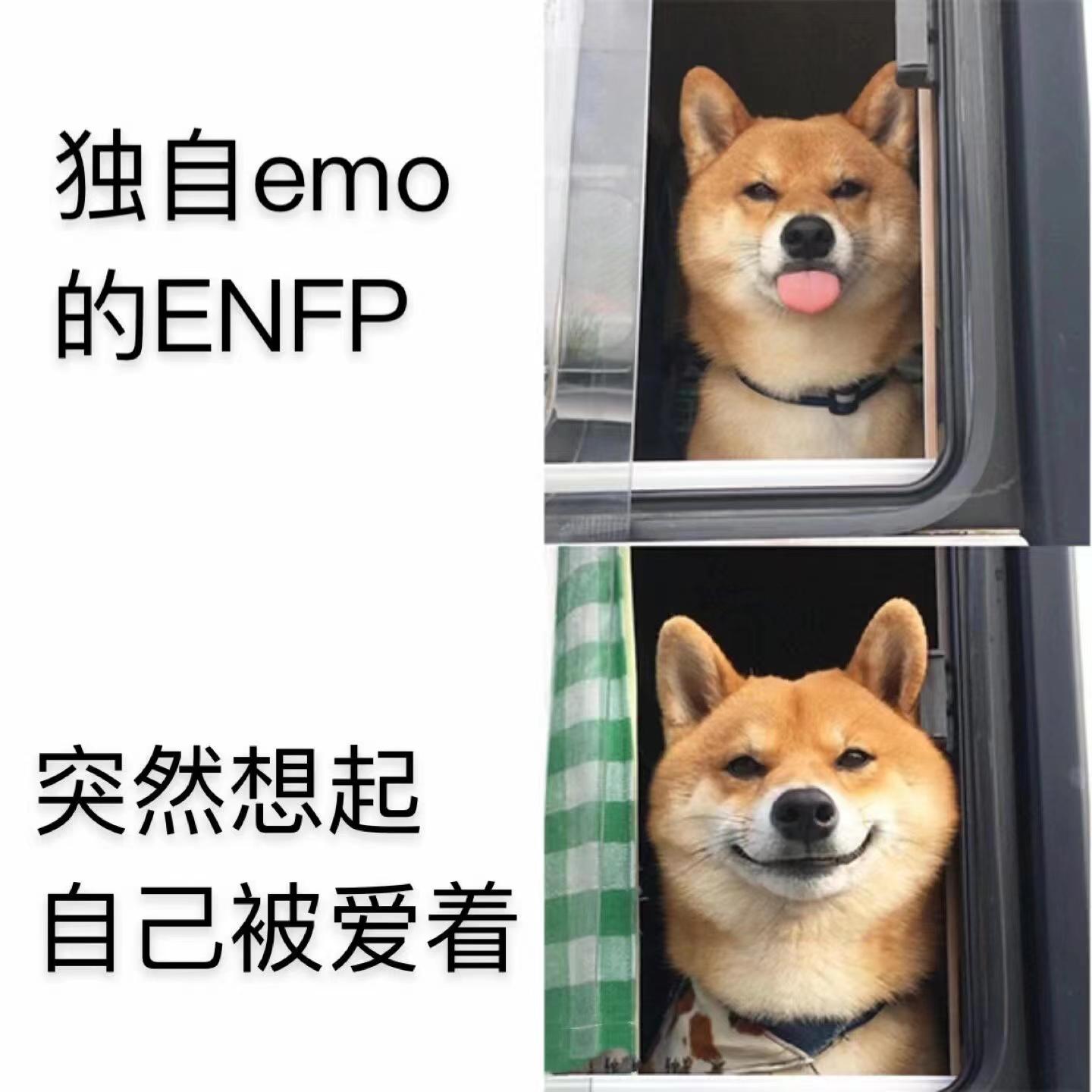 【MBTI表情包】ENFP专属表情包 | 执行官人格表情包 | 总经理人格表情包 - 知乎