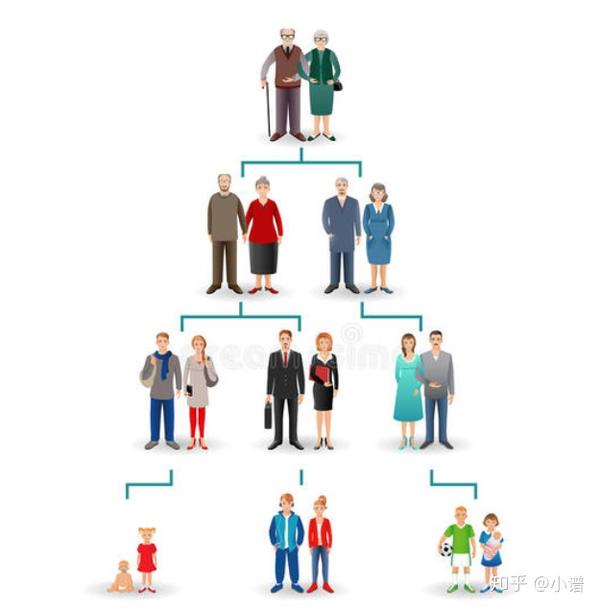 家谱中世和代的区别 你知道吗 知乎