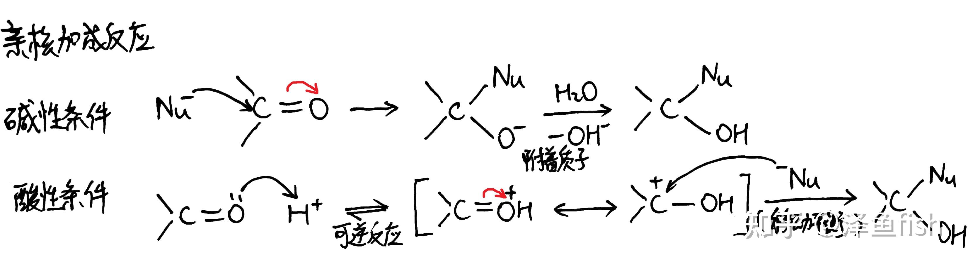 親核加成反應機理有酸性條件下和鹼性條件下的區分:1.總論Ⅰ.