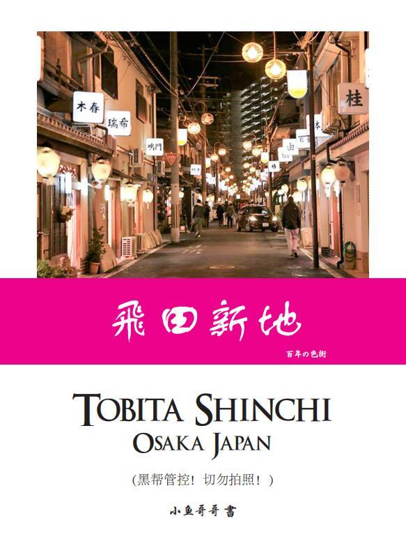 飞田新地(Tobita Shinchi Osaka Japan) 知乎
