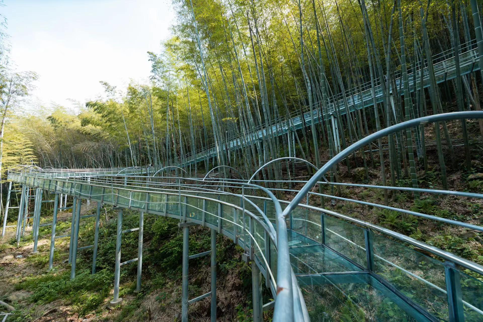 竹林深处的高空玻璃栈道漂流让您玩到嗨