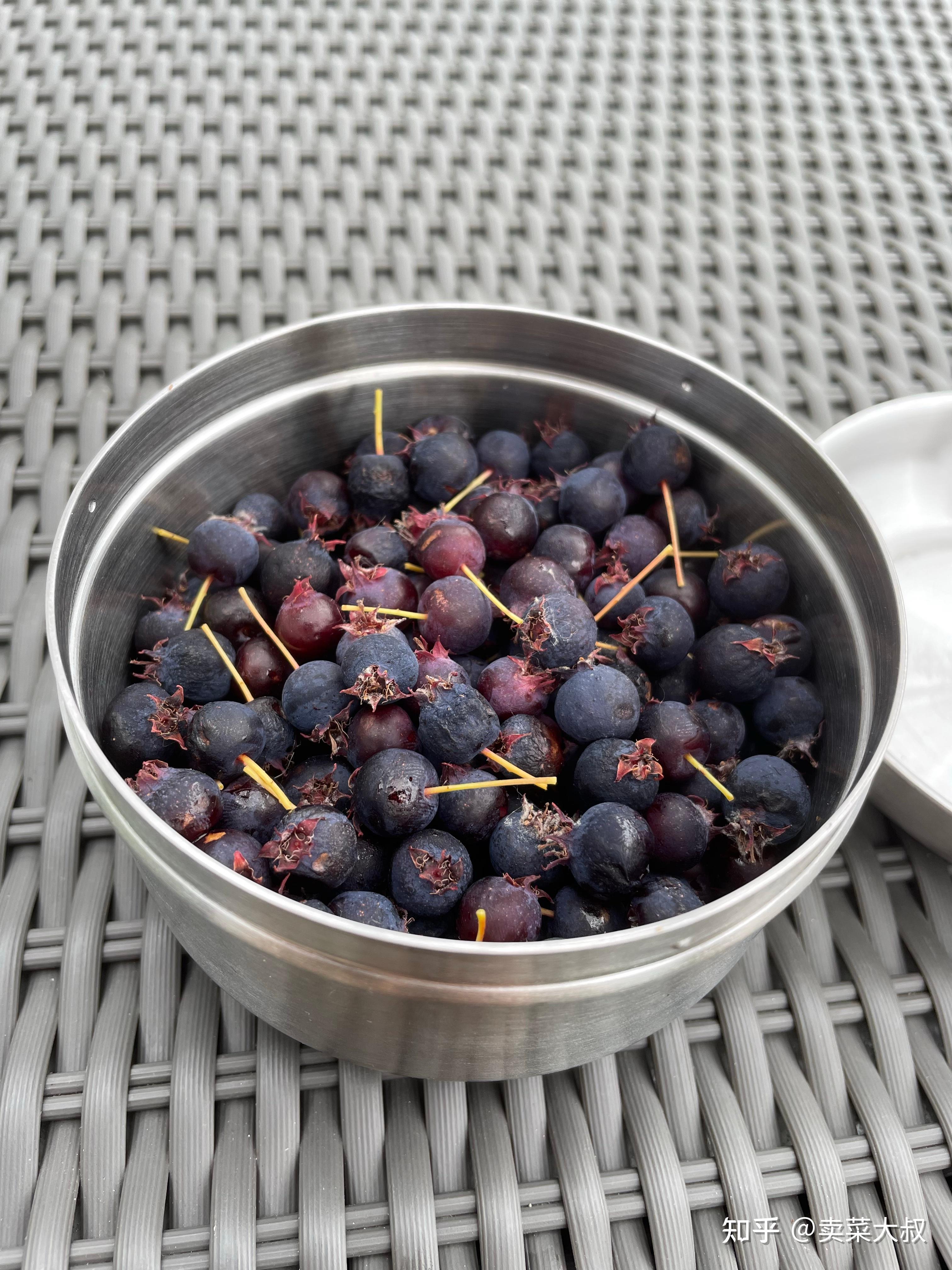 在公园里看到树上挂牌°°加拿大唐棣°°树,据说唐棣果能吃,加拿大