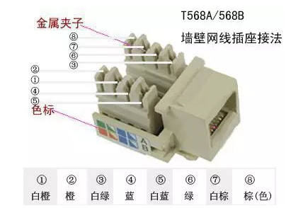 网线插座的接法图解