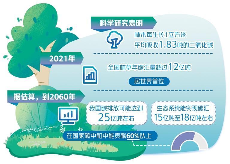 高质量建设林草碳库 - 知乎